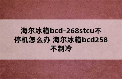 海尔冰箱bcd-268stcu不停机怎么办 海尔冰箱bcd258不制冷